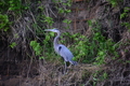 album/05102026/DSC_0415.JPG