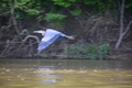 album/05102026/DSC_0422.JPG