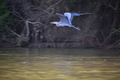 album/05102026/DSC_0423.JPG