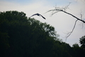 album/05102026/DSC_0429.JPG