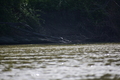 album/05102026/DSC_0430.JPG