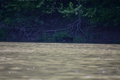 album/05102026/DSC_0457.JPG