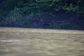 album/05102026/DSC_0461.JPG