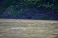 album/05102026/DSC_0462.JPG