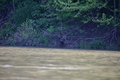 album/05102026/DSC_0463.JPG