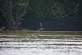 album/05102026/DSC_0470.JPG
