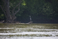 album/05102026/DSC_0486.JPG