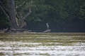 album/05102026/DSC_0492.JPG
