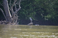 album/05102026/DSC_0520.JPG