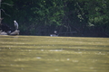 album/05102026/DSC_0536.JPG