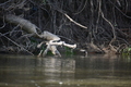 album/05102026/DSC_0565.JPG