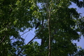 album/05102026/DSC_0568.JPG