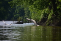 album/05102026/DSC_0582.JPG