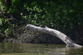 album/05102026/DSC_0592.JPG
