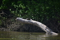 album/05102026/DSC_0593.JPG