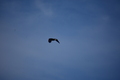 album/05102026/DSC_0602.JPG