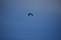 album/05102026/DSC_0604.JPG