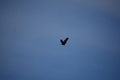 album/05102026/DSC_0606.JPG