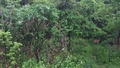album/05992025/IMG20250516210935.jpg