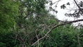 album/06272025/IMG20250627185500.jpg