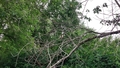 album/06272025/IMG20250627185501.jpg