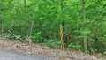 album/06992025/IMG20250603194452.jpg