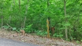 album/06992025/IMG20250603194454.jpg