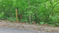 album/06992025/IMG20250603194508.jpg