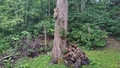 album/08192026/IMG20260819194956.jpg
