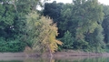 album/08252025/IMG20250825201632.jpg