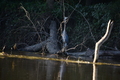 album/08272026/DSC_0005.JPG