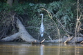 album/08272026/DSC_0009.JPG