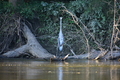 album/08272026/DSC_0010.JPG