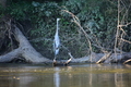 album/08272026/DSC_0011.JPG