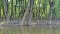 album/08272026/IMG20260827181241.jpg