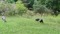 album/08292026/IMG20260829194136.jpg