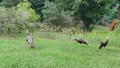 album/08292026/IMG20260829194139.jpg