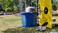 album/09062025/IMG20250906133848.jpg