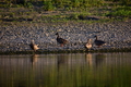 album/09082025/DSC_0304.JPG