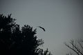 album/09082025/DSC_0307.JPG