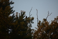 album/09082025/DSC_0313.JPG