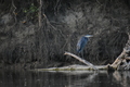 album/09082025/DSC_0317.JPG