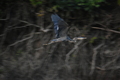 album/09082025/DSC_0324.JPG