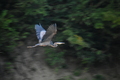 album/09082025/DSC_0325.JPG