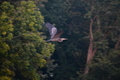 album/09082025/DSC_0328.JPG
