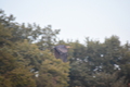 album/09082025/DSC_0329.JPG