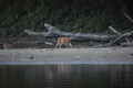 album/09082025/DSC_0339.JPG