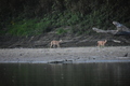 album/09082025/DSC_0341.JPG