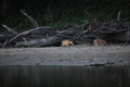 album/09082025/DSC_0344.JPG
