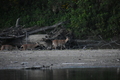 album/09082025/DSC_0345.JPG